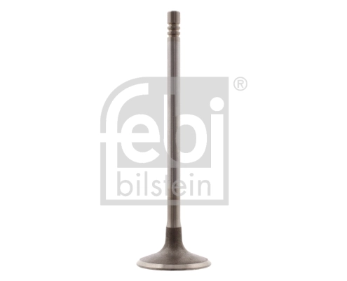 Intake Valve